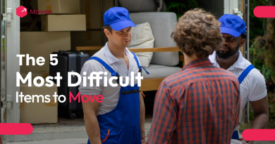The 5 Most Difficult Items to Move